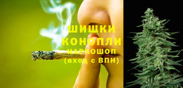 индика Зеленокумск