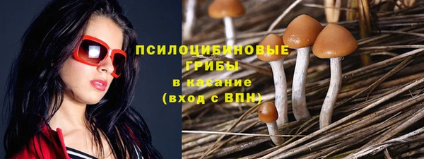 сатива Заволжье