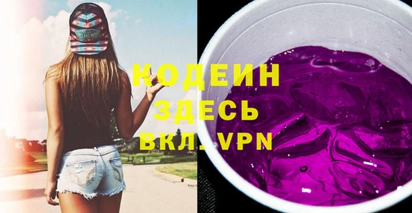 индика Зеленокумск